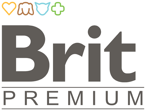 Логотип Brit Premium