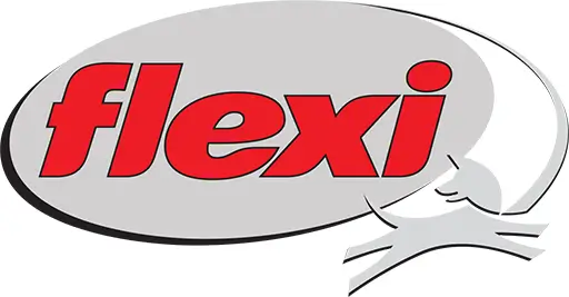 Логотип «Flexi»