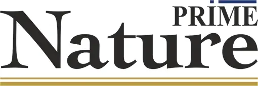 Логотип «PRIME Nature»